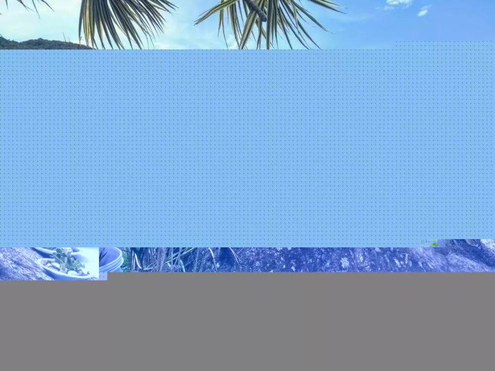 Casa, 4 quartos, 400 m² - Foto 41