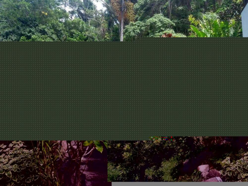 Casa, 4 quartos, 400 m² - Foto 44