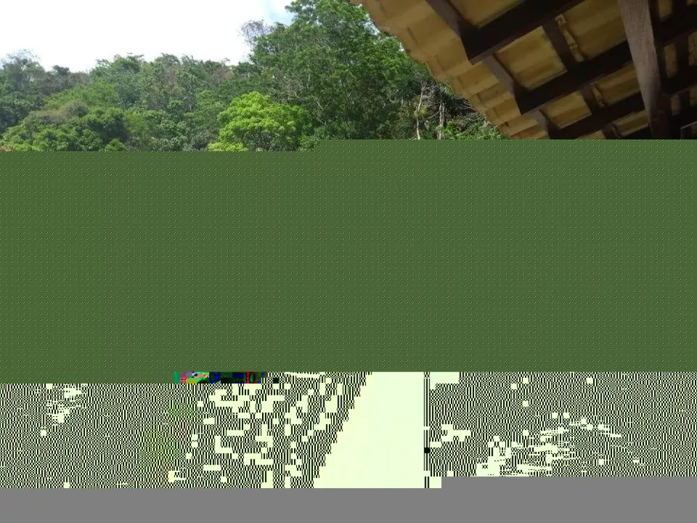 Casa, 4 quartos, 400 m² - Foto 29