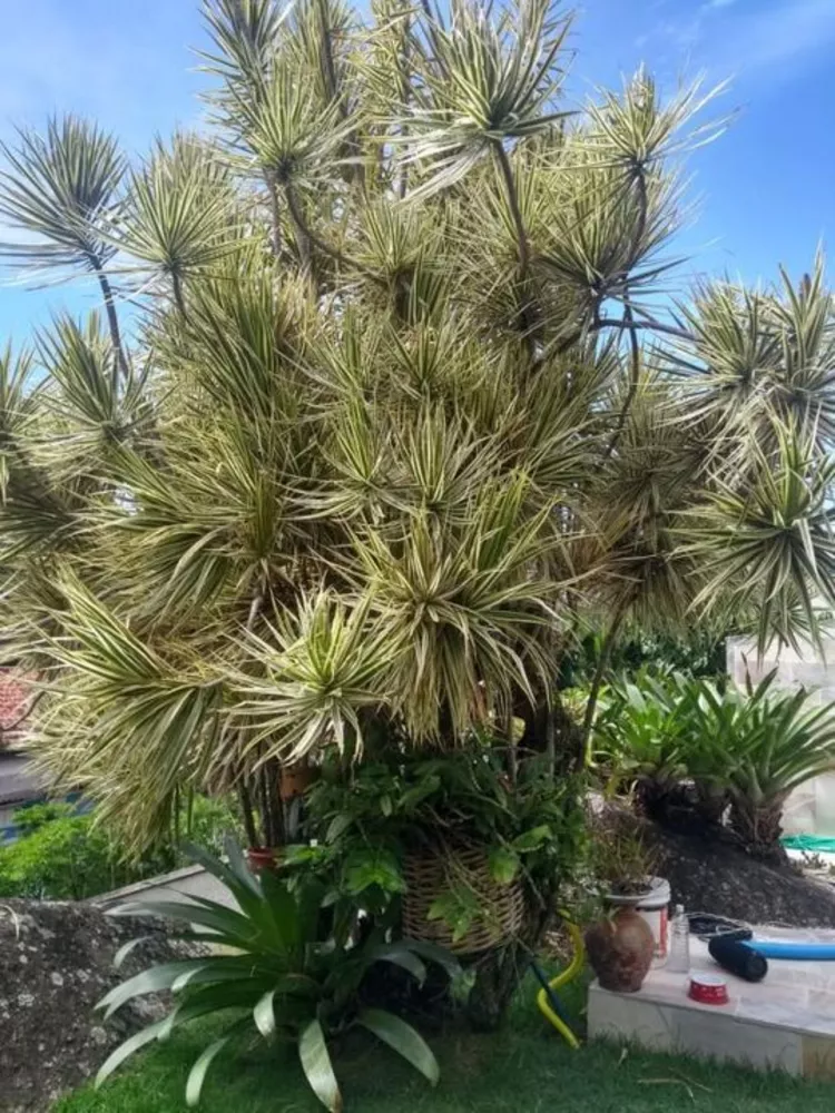 Casa, 4 quartos, 400 m² - Foto 39