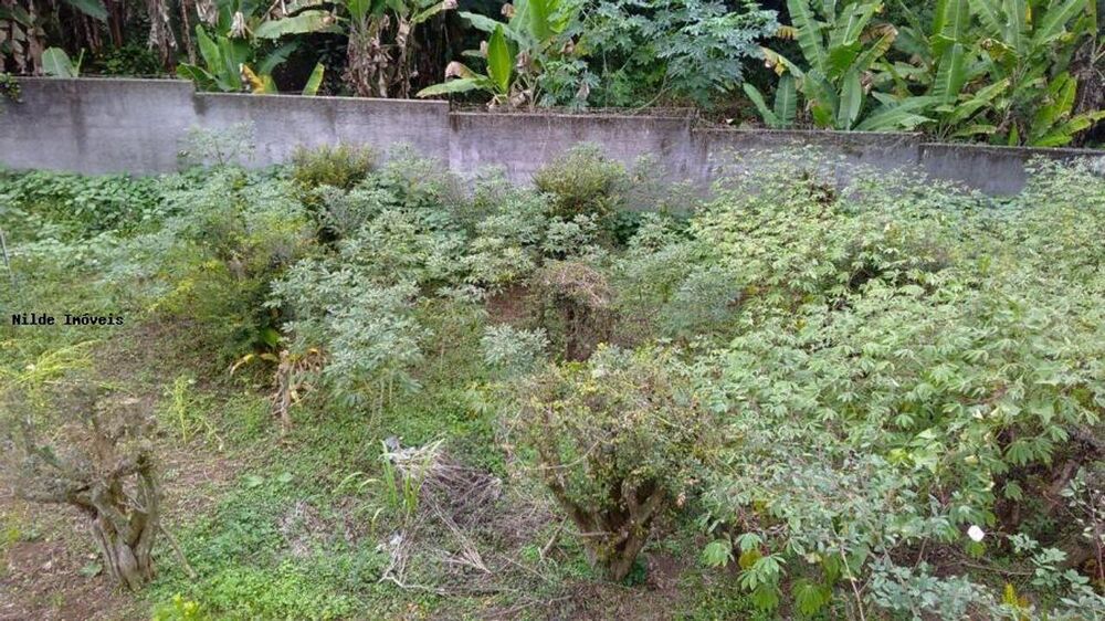 Terreno, 2500 m² - Foto 4