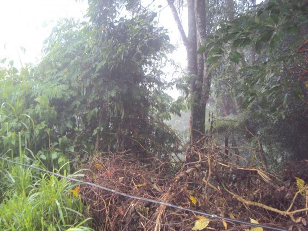 Terreno, 300 m² - Foto 11