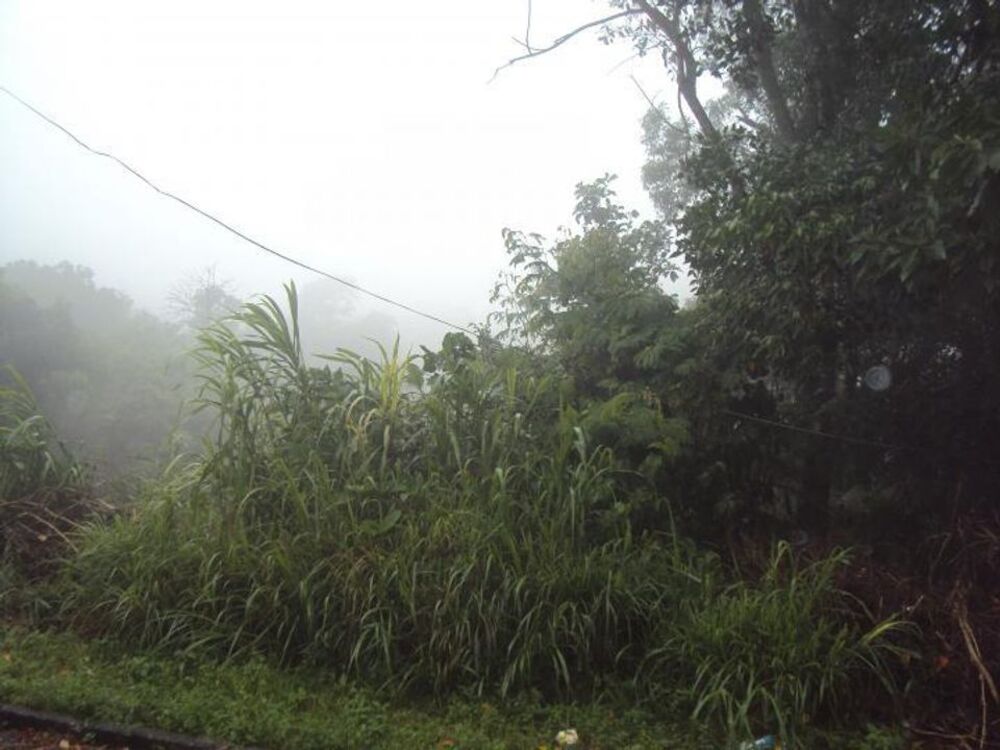 Terreno, 300 m² - Foto 10