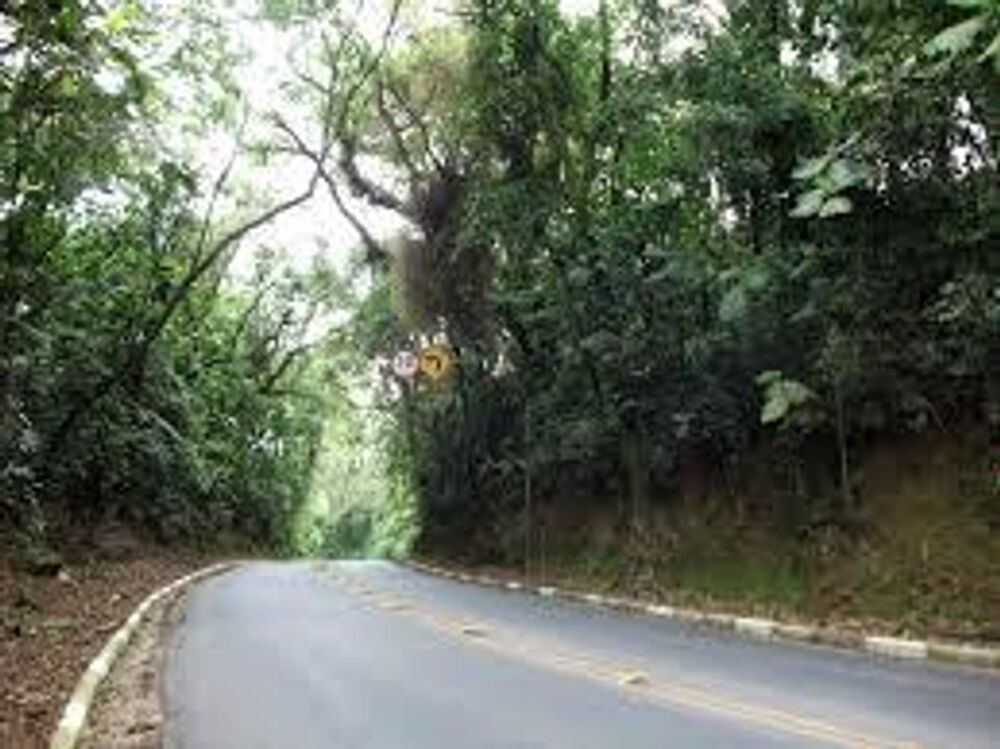 Terreno, 300 m² - Foto 5