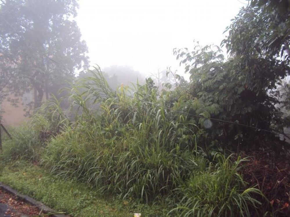 Terreno, 300 m² - Foto 7