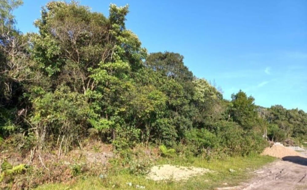 Terreno, 280 m² - Foto 3