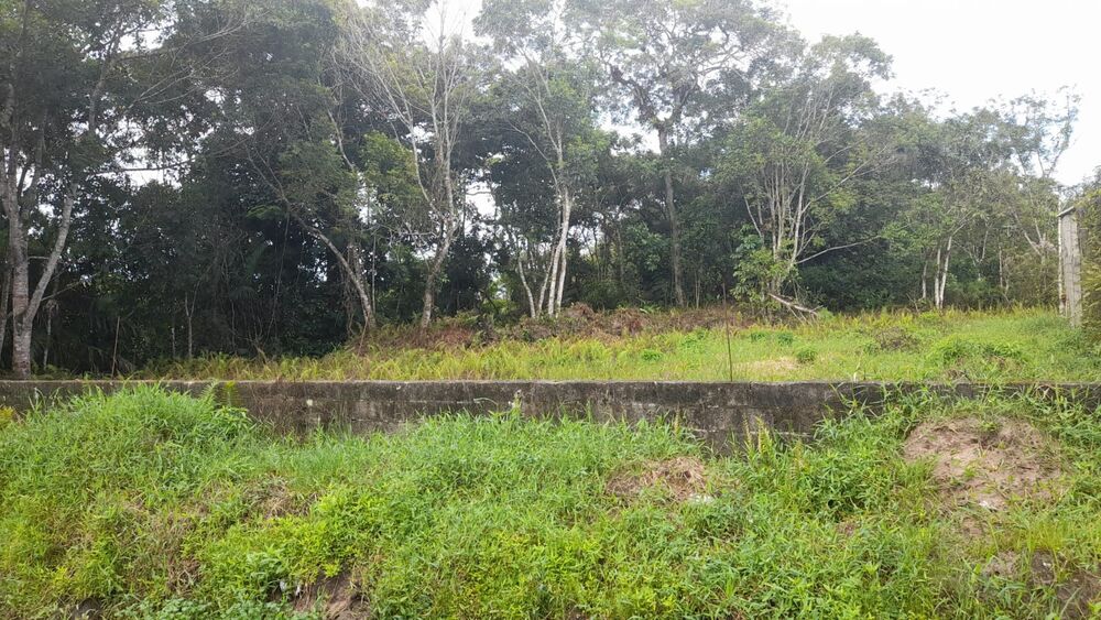 Terreno, 1625 m² - Foto 4