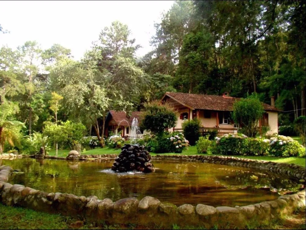 Terreno, 20000 m² - Foto 2