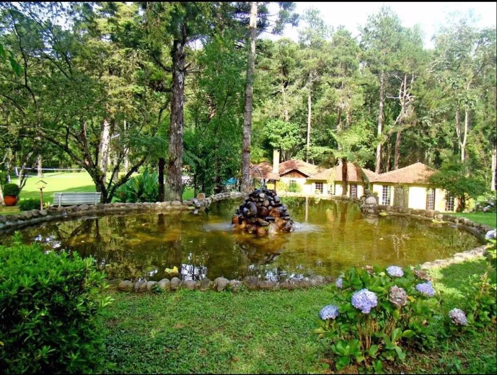 Terreno, 20000 m² - Foto 9