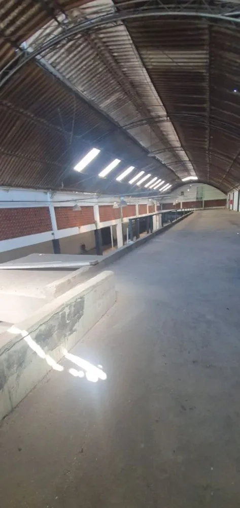Depósito-Galpão, 3000 m² - Foto 16