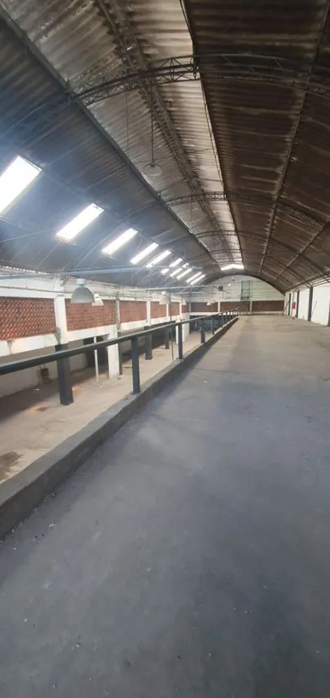 Depósito-Galpão, 3000 m² - Foto 11