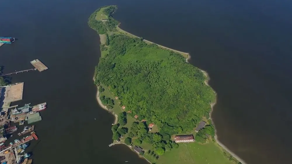 Terreno, 30 hectares - Foto 6