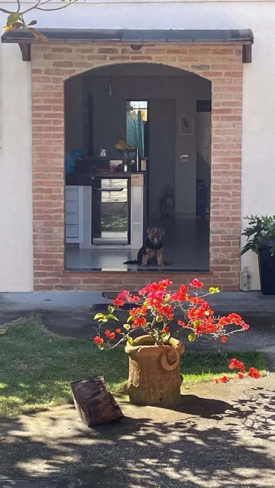 Casa, 4 quartos, 440 m² - Foto 44