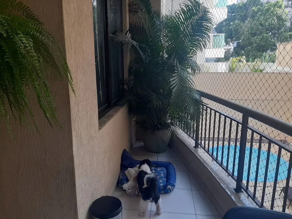 Apartamento, 3 quartos, 100 m² - Foto 4