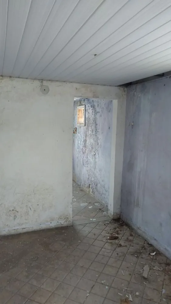 Casa, 3 quartos, 500 m² - Foto 1
