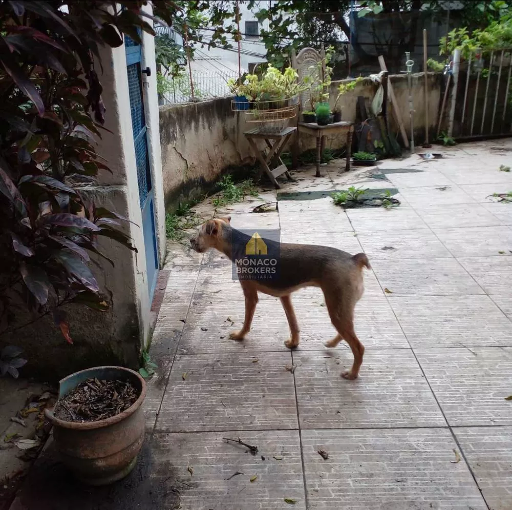 Casa, 2 quartos, 311 m² - Foto 14