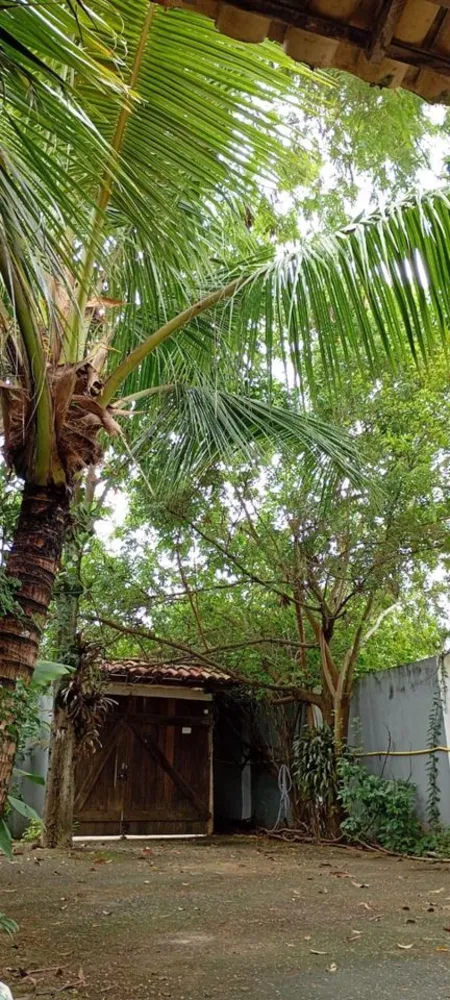 Casa, 4 quartos, 250 m² - Foto 44