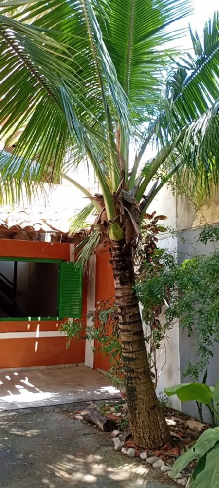 Casa, 4 quartos, 250 m² - Foto 43