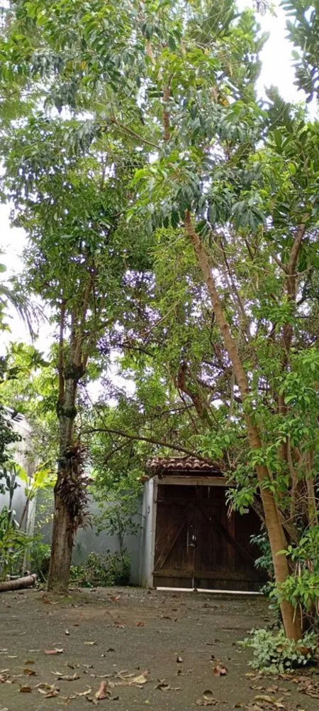 Casa, 4 quartos, 250 m² - Foto 46