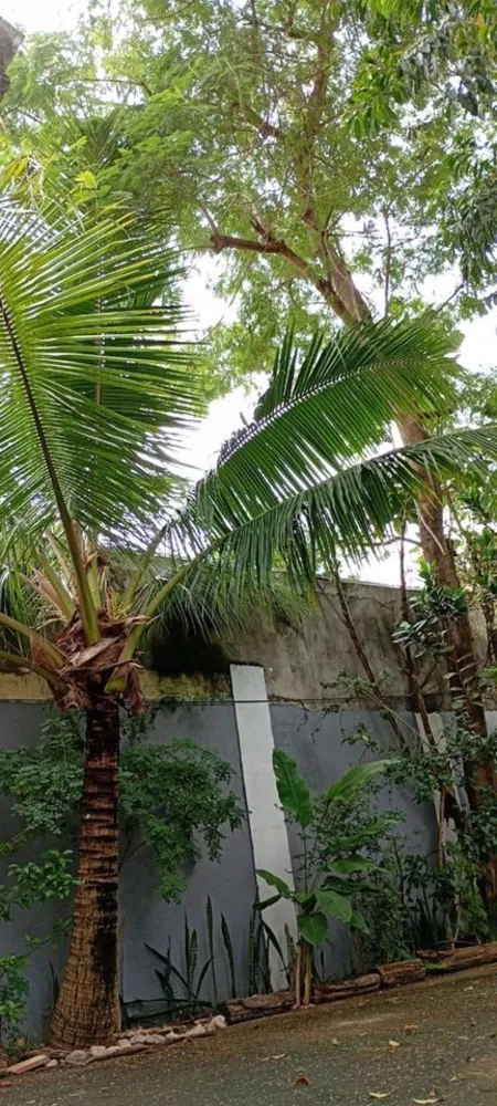 Casa, 4 quartos, 250 m² - Foto 42