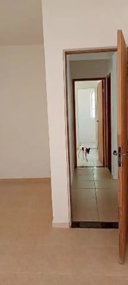 Casa, 4 quartos, 250 m² - Foto 14