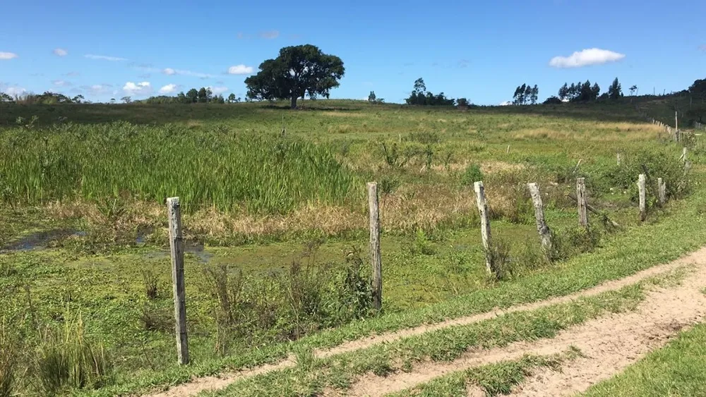 Fazenda, 252 hectares - Foto 15