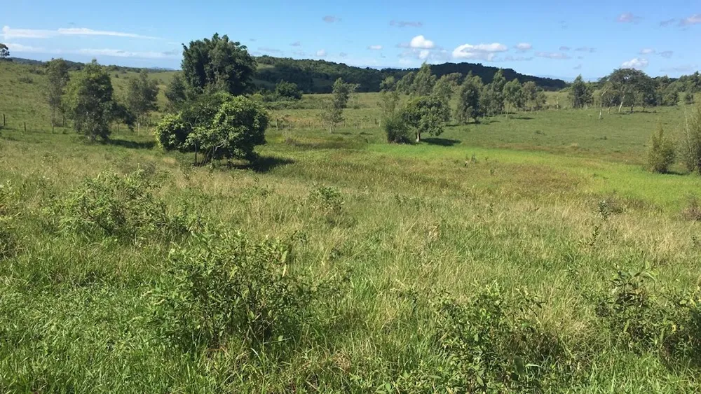 Fazenda, 252 hectares - Foto 10