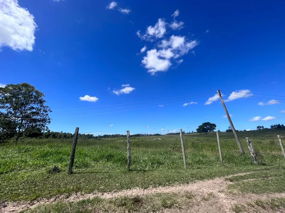 Fazenda, 252 hectares - Foto 31