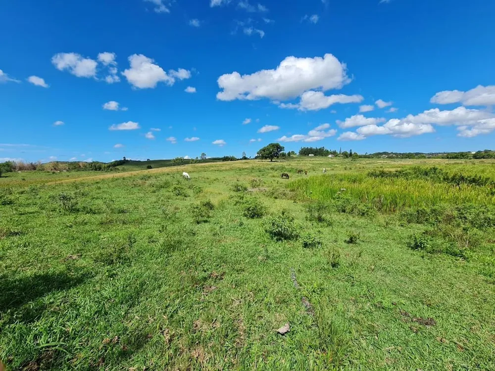 Fazenda, 252 hectares - Foto 70