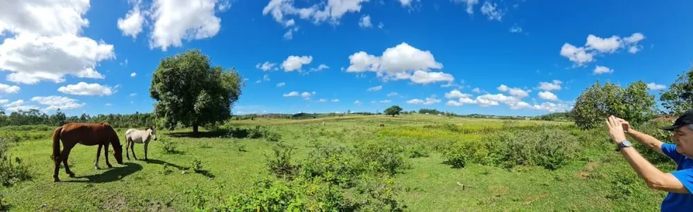 Fazenda, 252 hectares - Foto 65