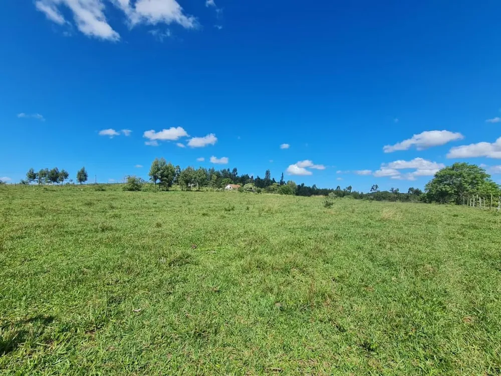 Fazenda, 252 hectares - Foto 45