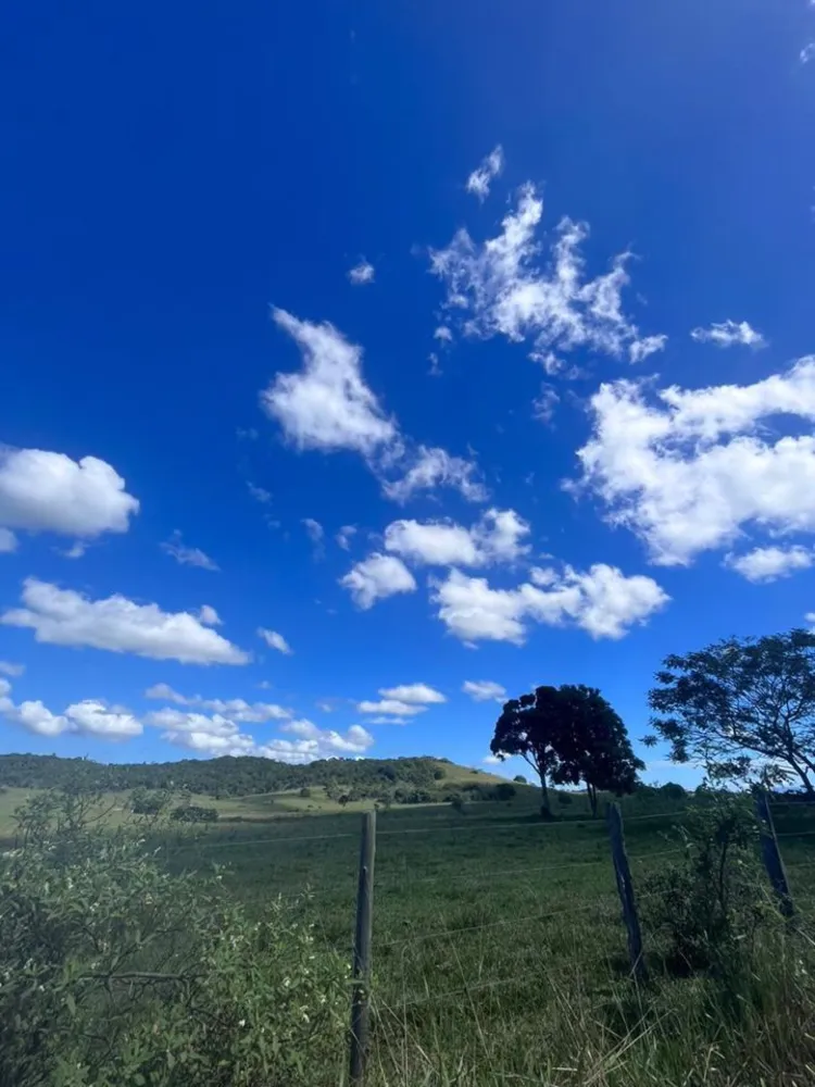 Fazenda, 252 hectares - Foto 20