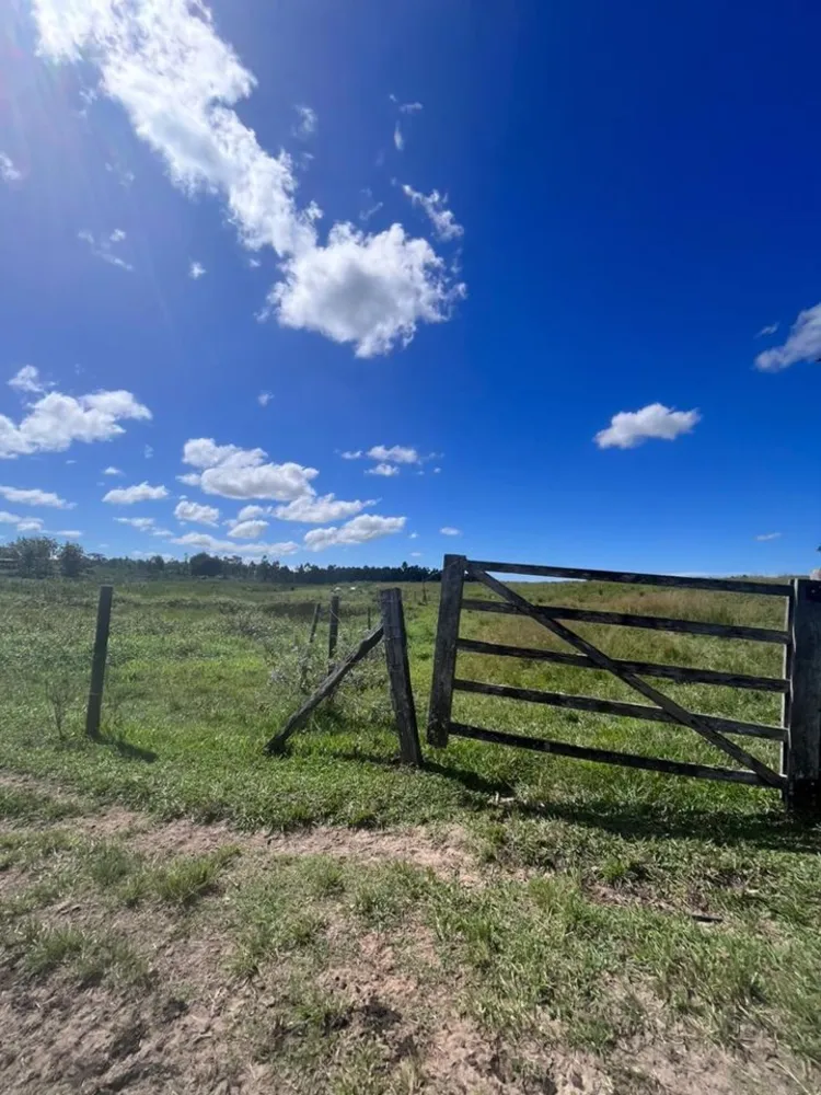 Fazenda, 252 hectares - Foto 38