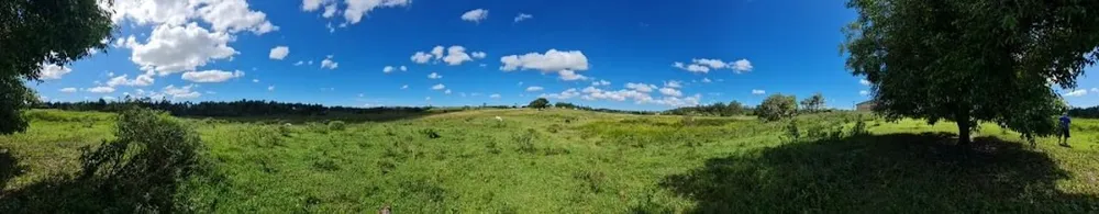 Fazenda, 252 hectares - Foto 51