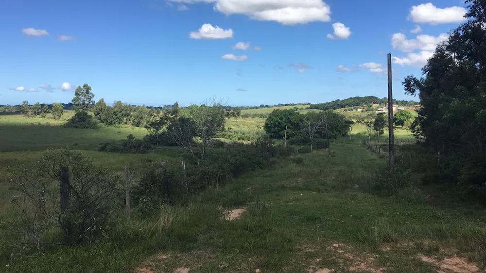 Fazenda, 252 hectares - Foto 3