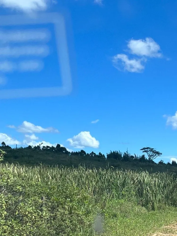Fazenda, 252 hectares - Foto 22