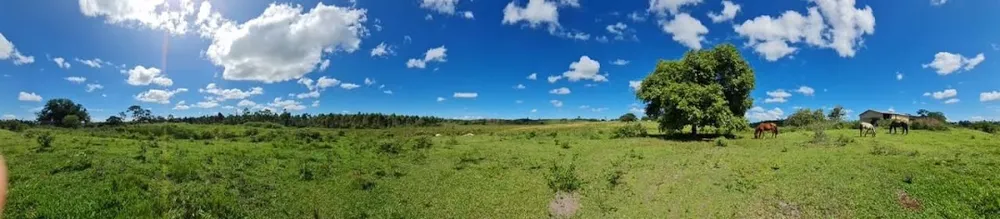 Fazenda, 252 hectares - Foto 49