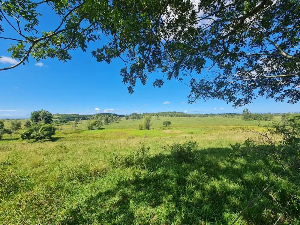 Fazenda, 252 hectares - Foto 44