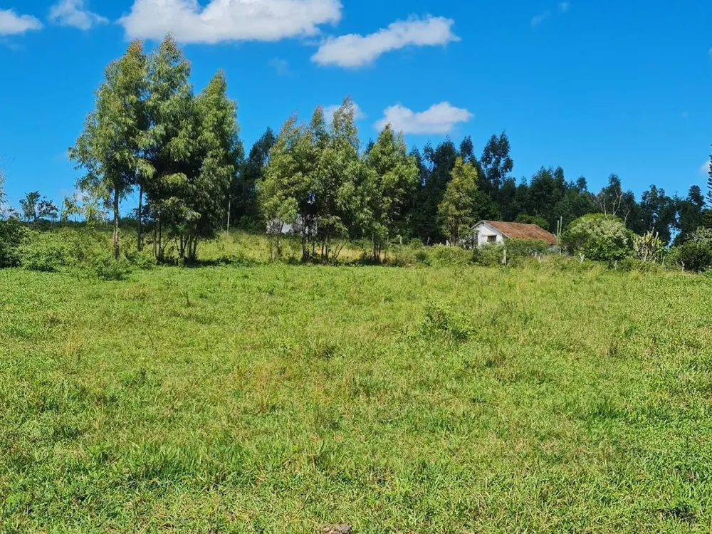 Fazenda, 252 hectares - Foto 2