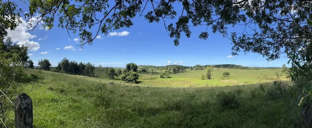 Fazenda, 252 hectares - Foto 43