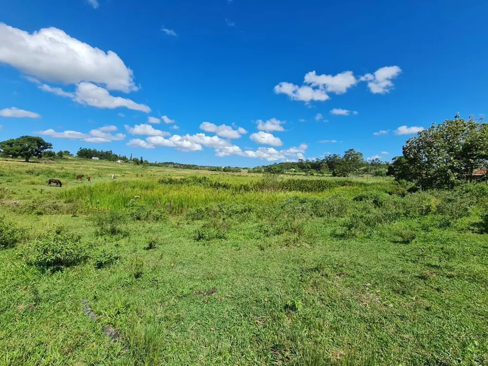 Fazenda, 252 hectares - Foto 69