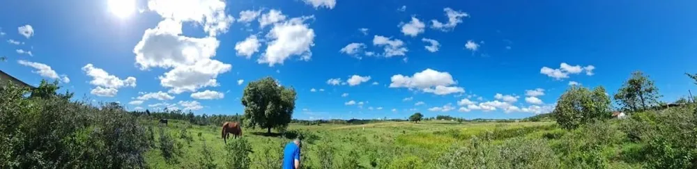Fazenda, 252 hectares - Foto 50