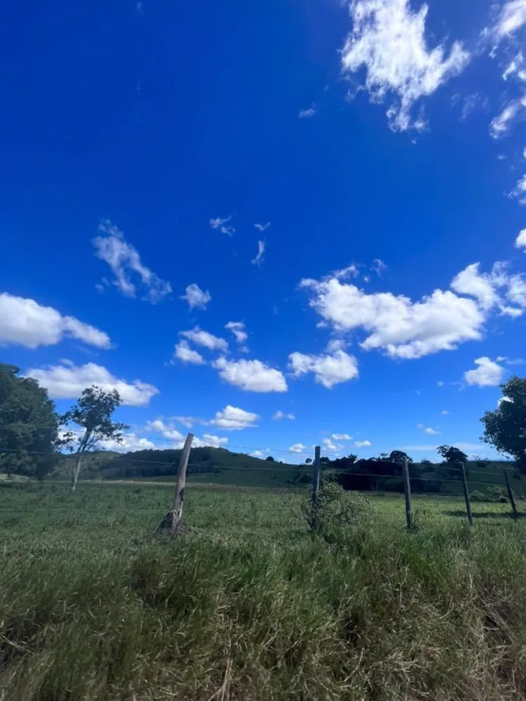 Fazenda, 252 hectares - Foto 21