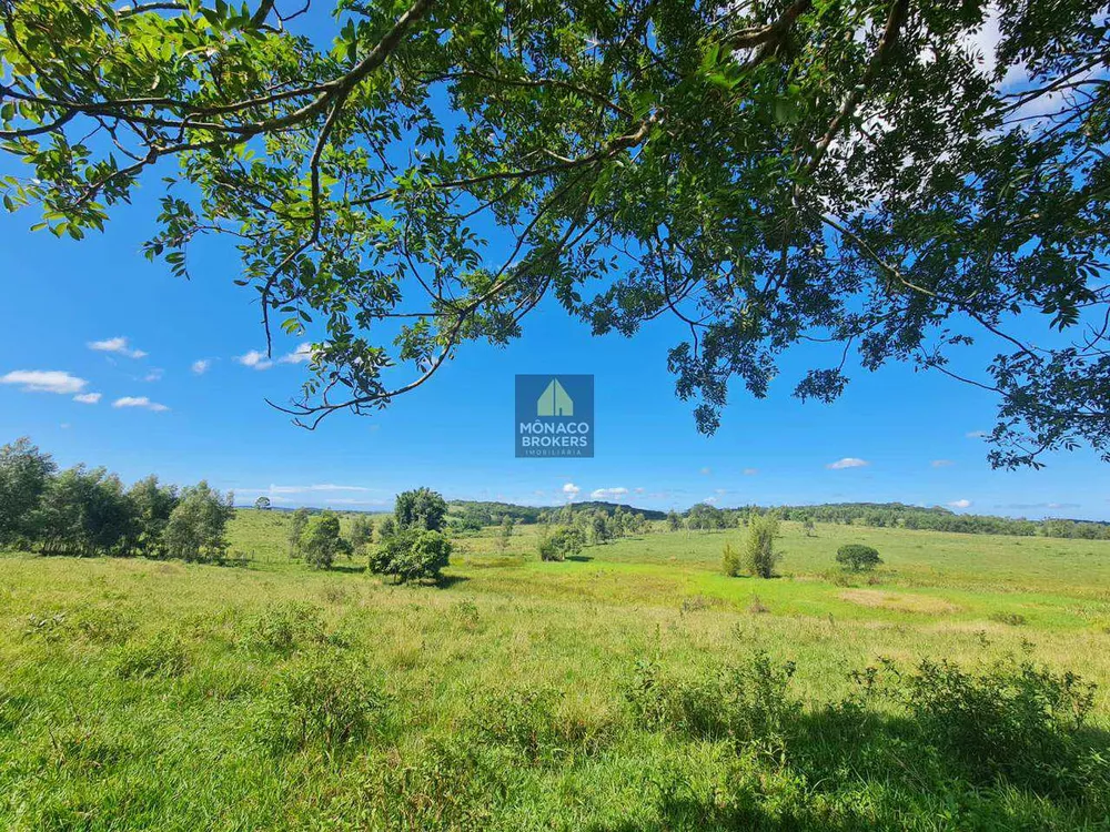 Fazenda, 252 hectares - Foto 47