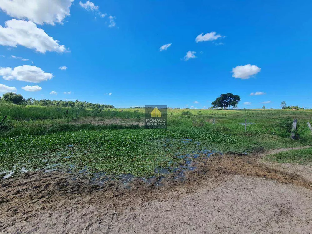 Fazenda, 252 hectares - Foto 61
