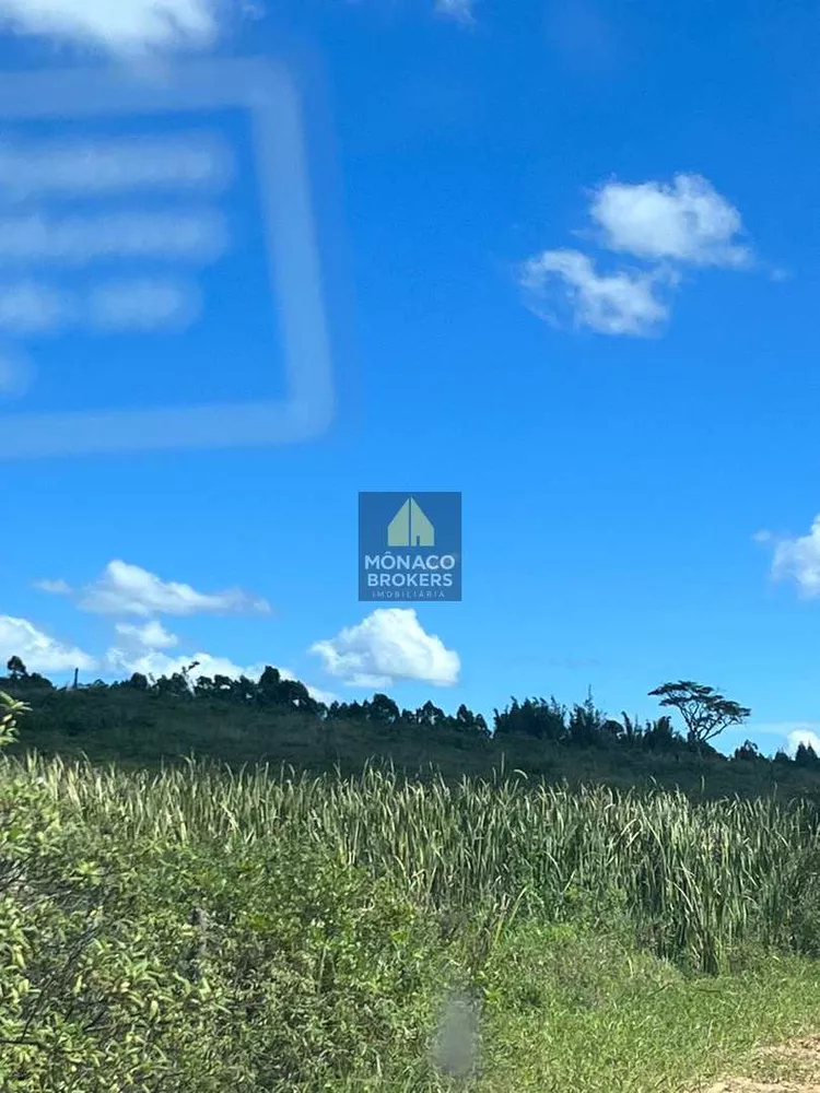 Fazenda, 252 hectares - Foto 22