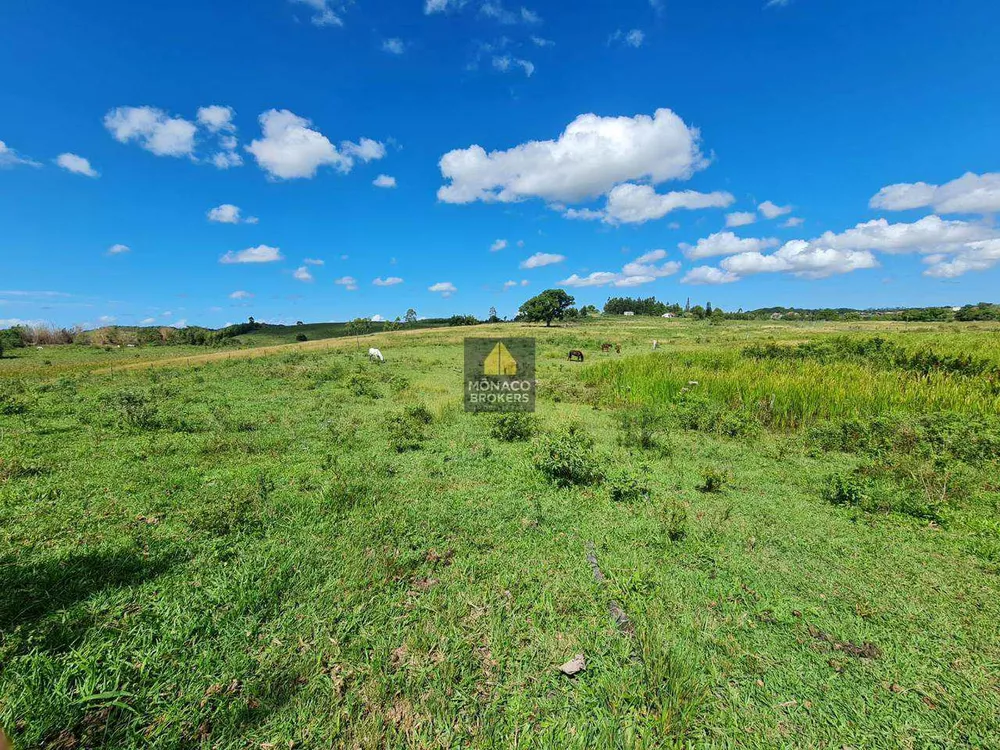Fazenda, 252 hectares - Foto 70