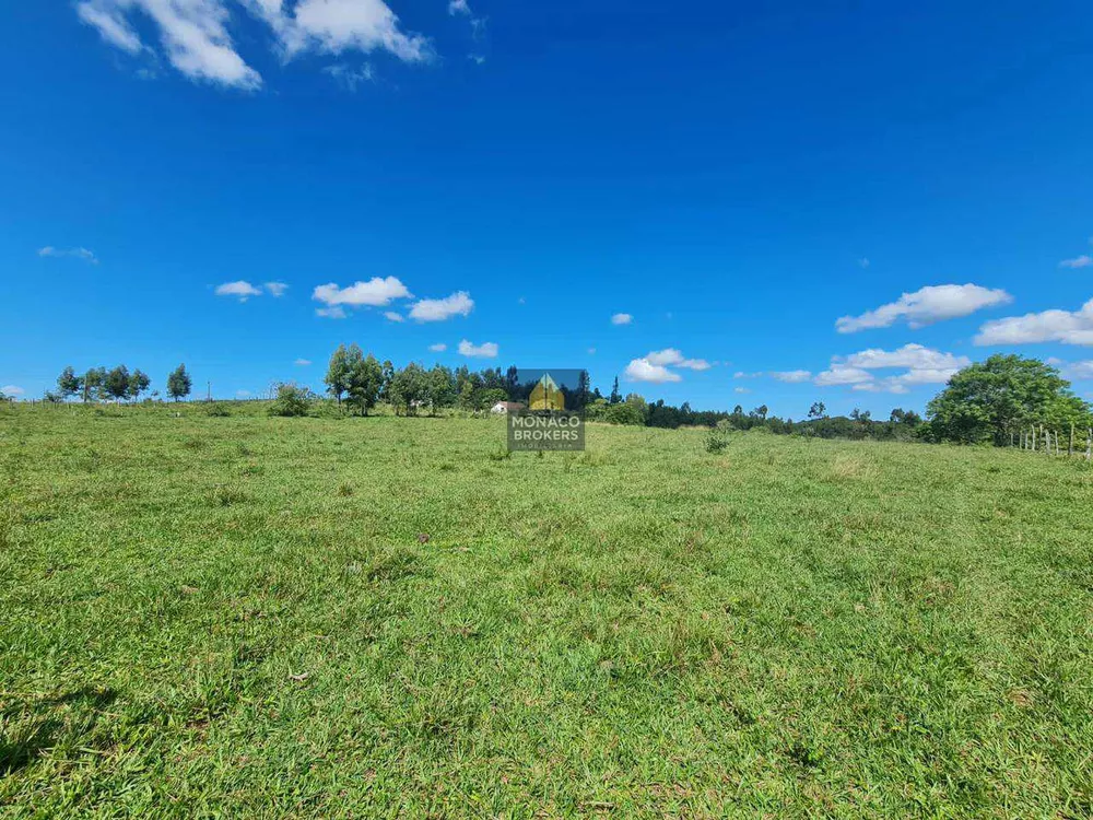 Fazenda, 252 hectares - Foto 45