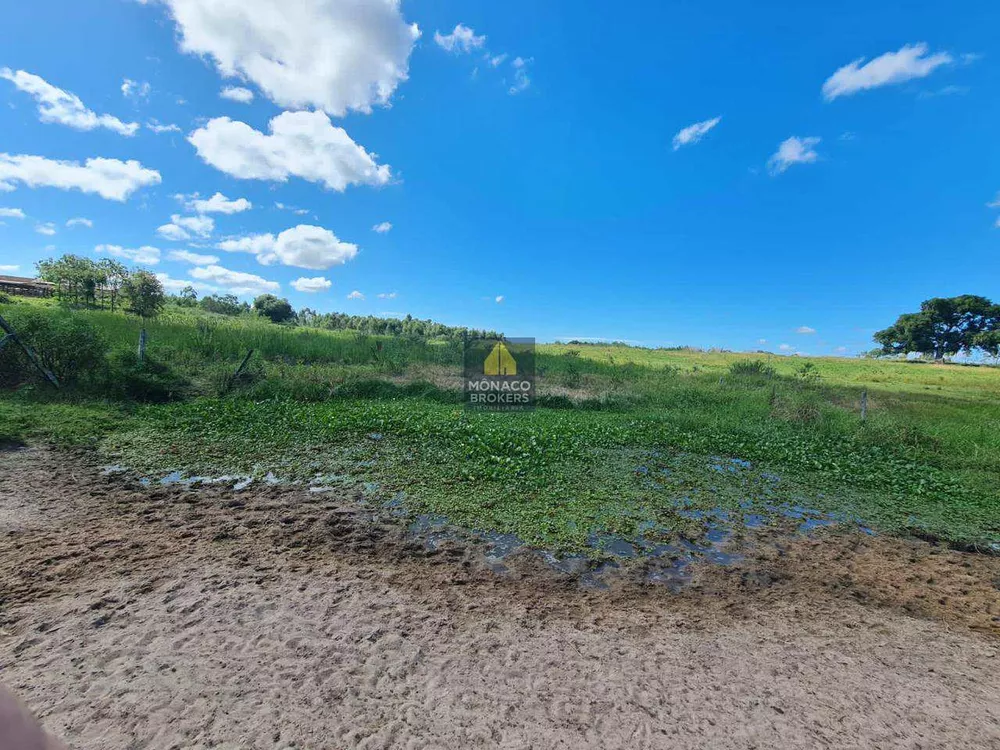 Fazenda, 252 hectares - Foto 62