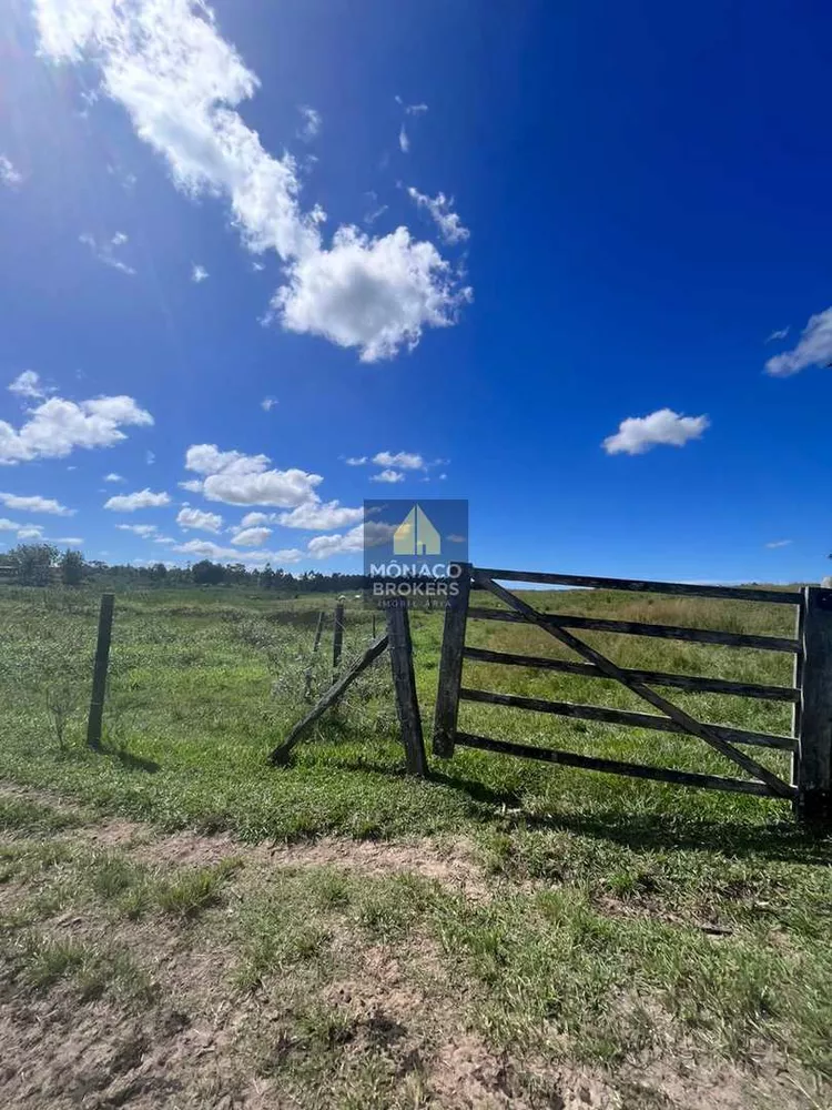 Fazenda, 252 hectares - Foto 38